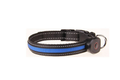 Dezkee NightGlow USB Rechargeable LED Dog Collar
