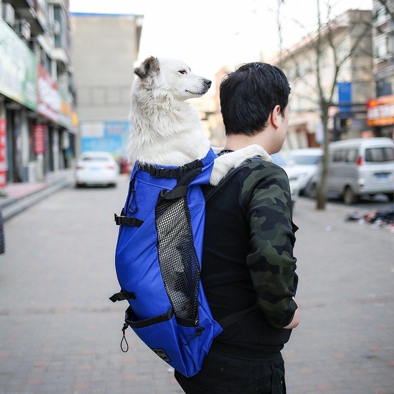 Dezkee Adventure Double-Shoulder Dog Carrier Backpack