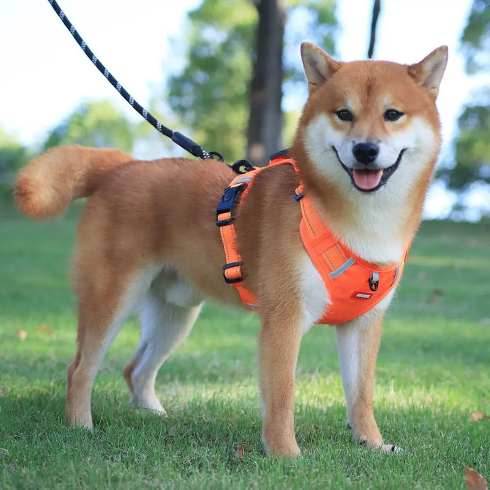 Dezkee TrailPro No-Pull Reflective Dog Harness