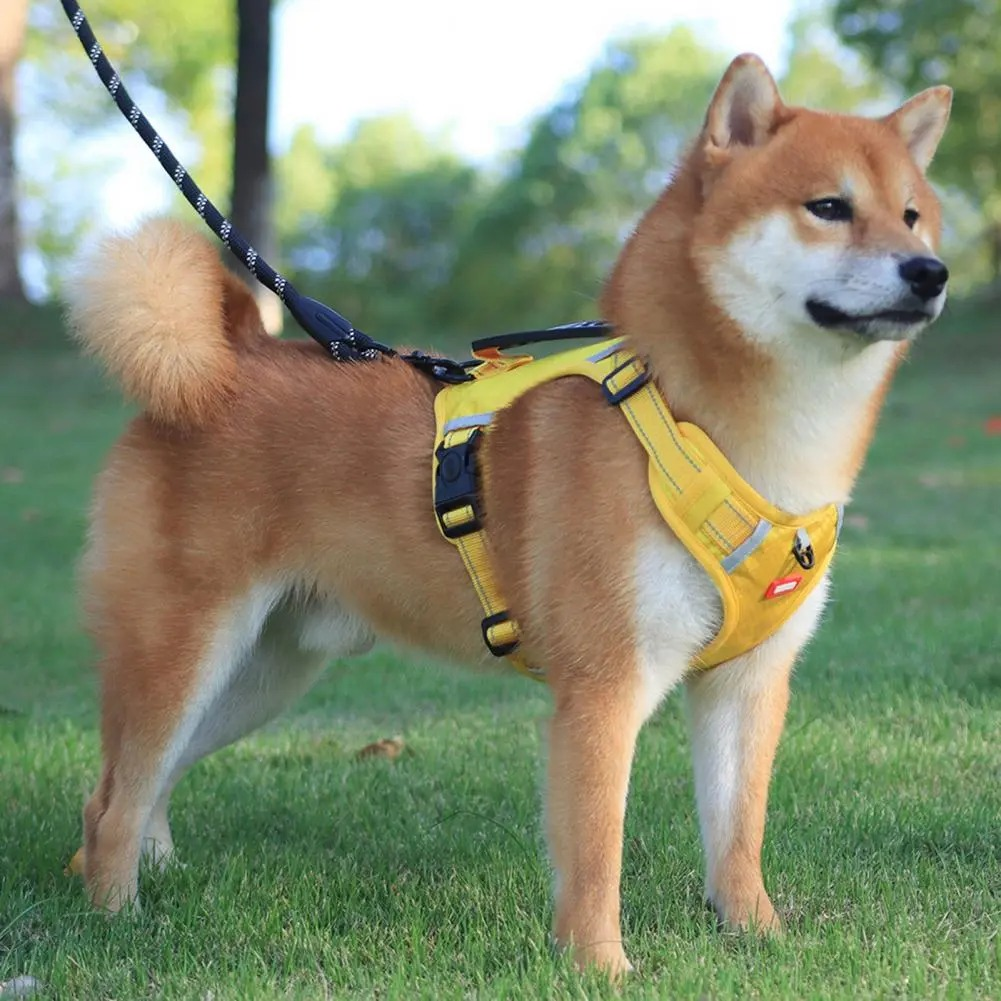 Dezkee TrailPro No-Pull Reflective Dog Harness