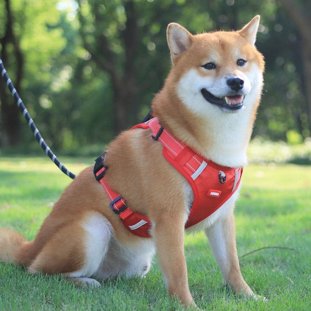 Dezkee TrailPro No-Pull Reflective Dog Harness