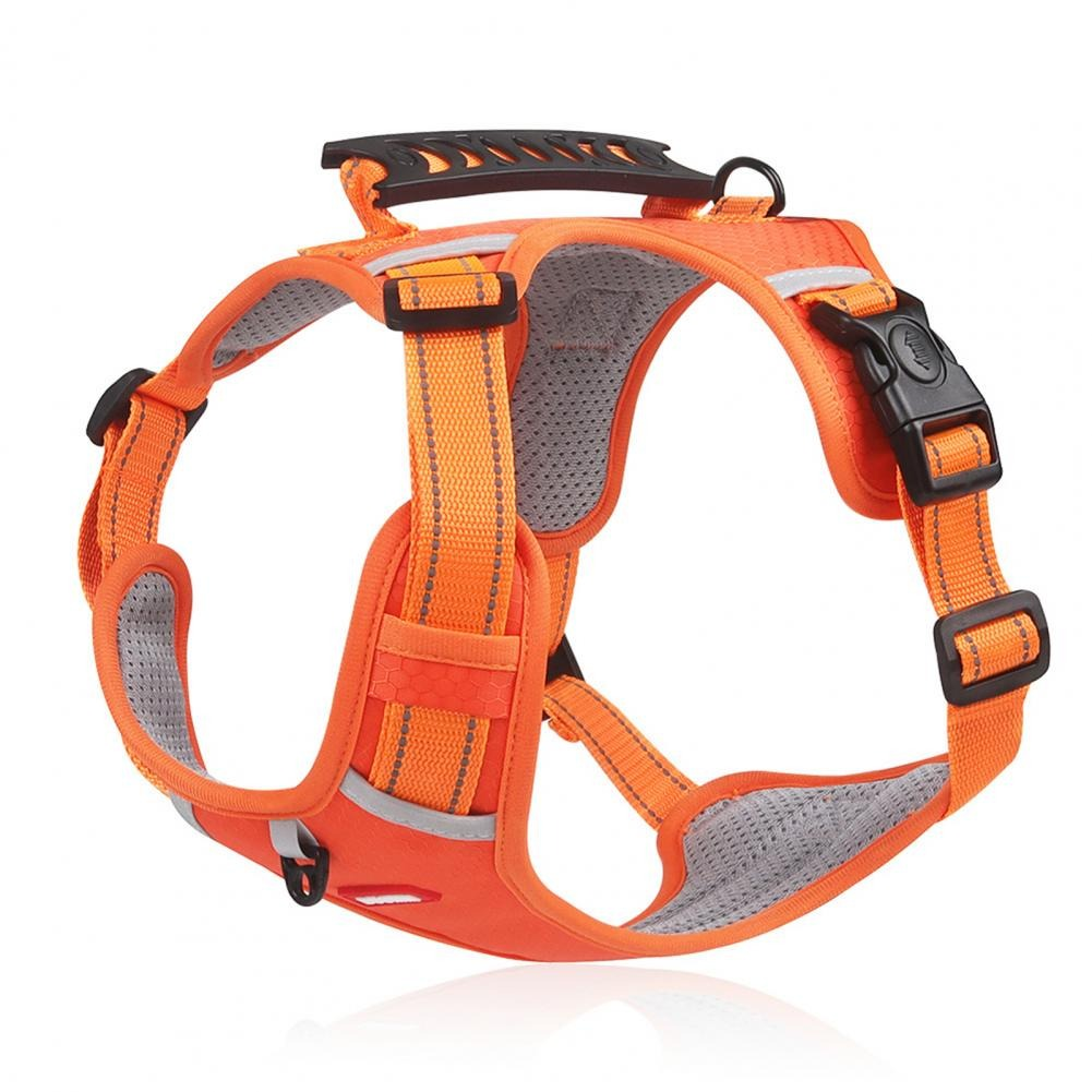 Dezkee TrailPro No-Pull Reflective Dog Harness